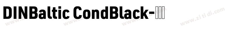 DINBaltic CondBlack字体转换